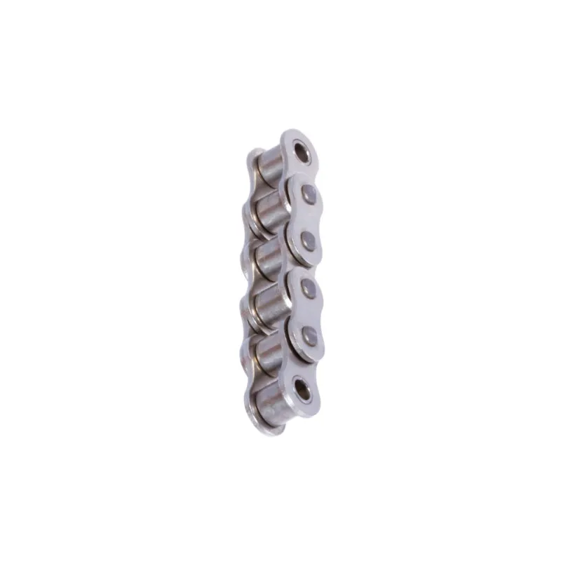 High Quality SS304 Stainless Steel Roller Chains Transmission 12B-2  For Food Processing