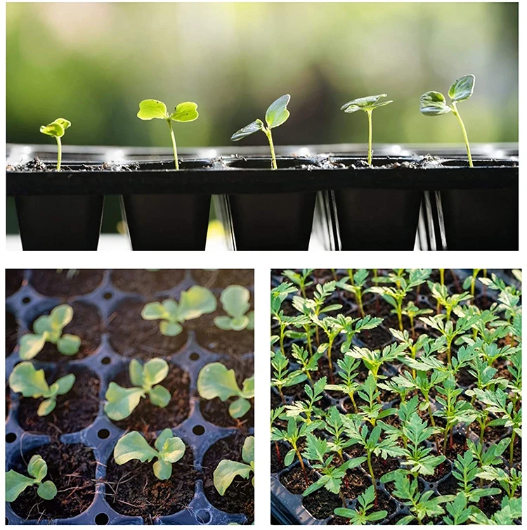 Plastic Nursery Seedling Trays Factory Prices 21holes 0.8-1.5mm Greenhouse Vegetables Nursery