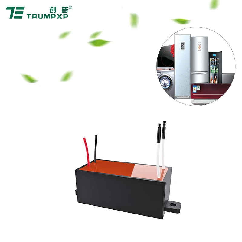 TUV CE Certified High Density8.0KV-15KV Negative Ion Generator AC DC Ionizer Anion Generator for Car Purifier
