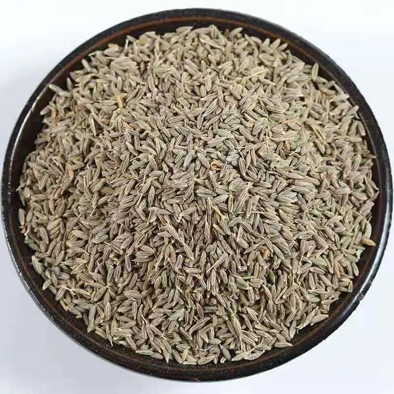China Single spices&Herbs supplier wholesales high quality India cumin seeds food seasonings cumin spice top quality jeera seeds