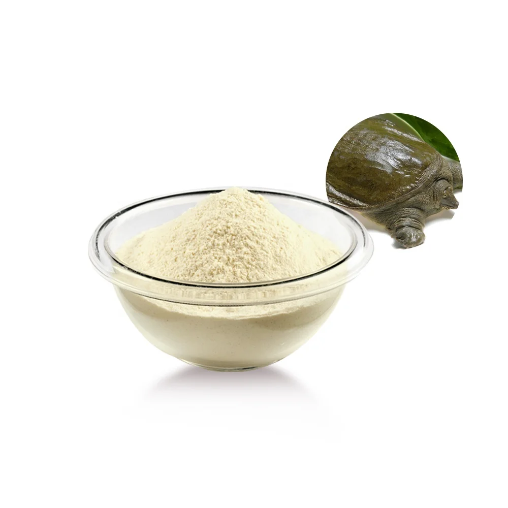 
Marine Turtle lyophilized drink protein hydrolysed collagen peptides powder 