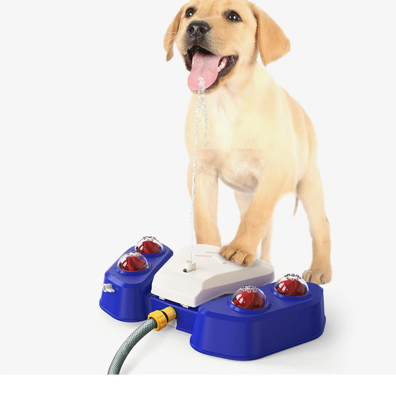 Summer water dispenser outdoor garden machine pop up water sprinklers for pet dog