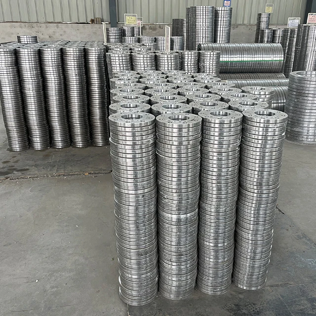JIS Standard DN25 10K SS304 Stainless Steel Plate Flanges