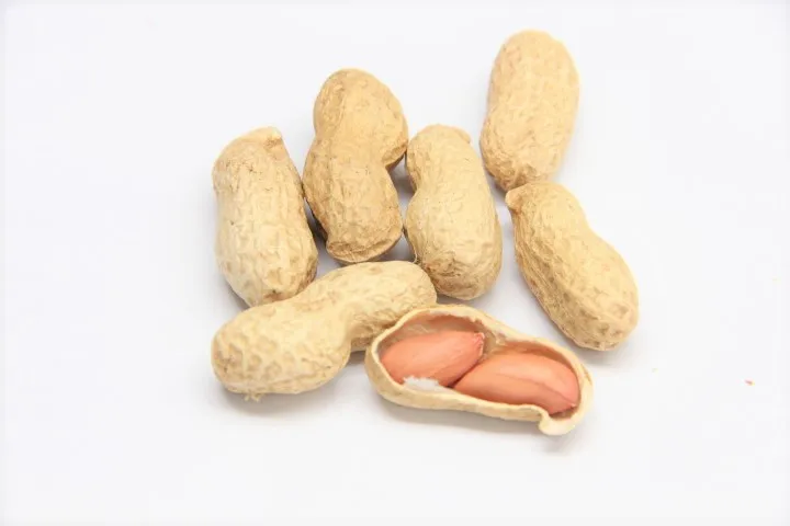 Ground Nut red skin Peanut,Raw Shelled Peanut,Fresh Peanuts