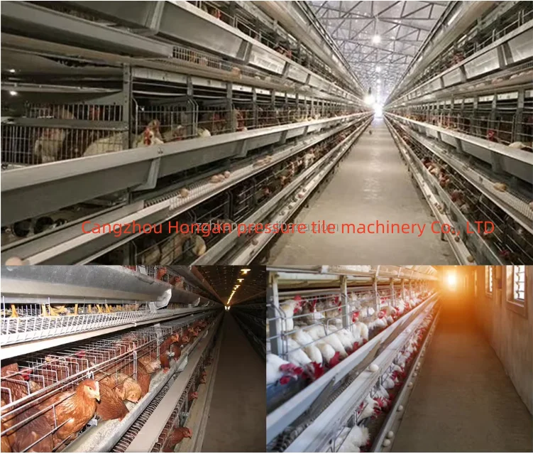 Factory Price Steel Water Gutter System Chicken Poultry Feeding Trough Roll Forming Machinery
