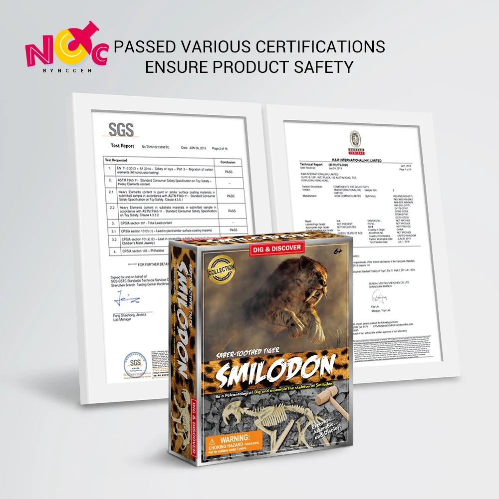 Amazon Hot Selling Sabre Wulf Dig Kit Excavation Toys Developing Hands on Ability 2022 Other Education Toys