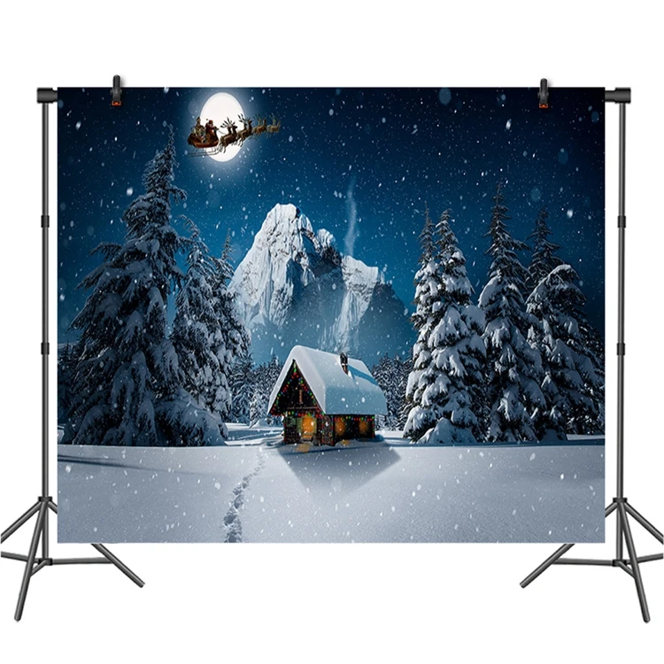 Christmas New Year Party Background Winter Landscape Backdrop Winter Forest Ice and Snow World Theme