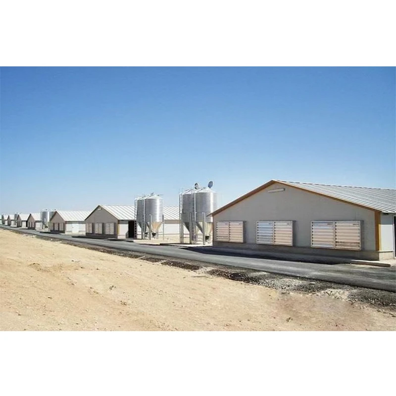 Hot Sales Prefabricated Metal Construction Farm Building Steel Structure Poultry Farm Chicken House
