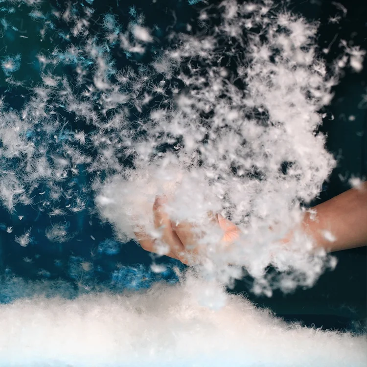 Factory Direct Sales Clothing Down Washed White Goose Down 90% Goose Down Fill For Sale