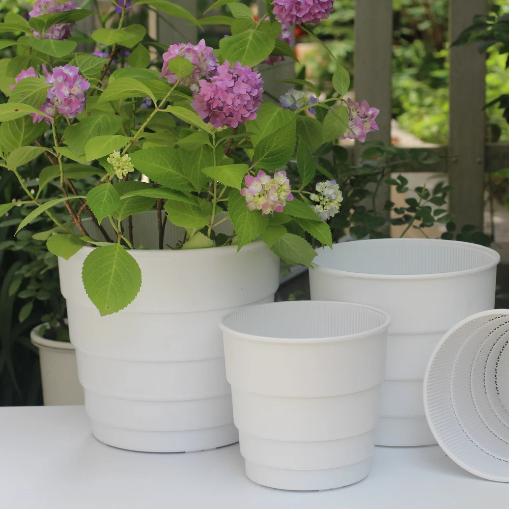 Plastic Plant Flower Seedlings Nursery Planter Colorful Flower Plant Container Seed Starting Pots with tray