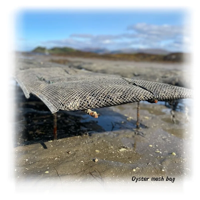 Square and diamond mesh hole Oyster plastic mesh bags with hdpe material