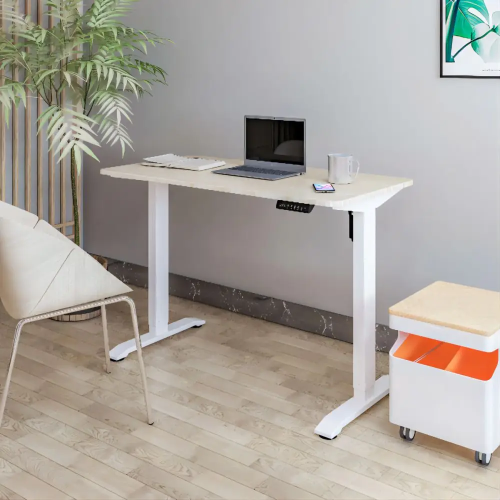 Electrically Height Adjustable Table Frame Single Motor Lifting System Ergonomic Learning Table Sit Stand Desk