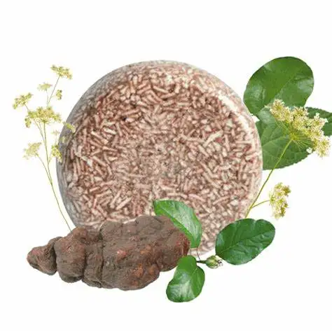 Natural Polygonum Multiflorum Extract Tuber Fleeceflower Root(HE SHOU WU) Powder For Black Hair Shampoo