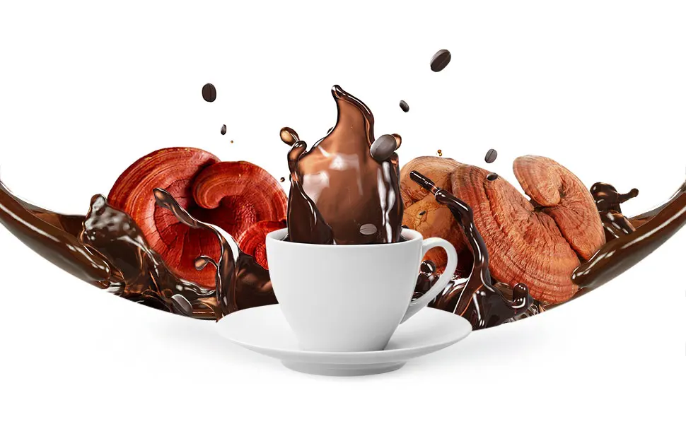 Instant Coffee Mix Reishi Mushroom Extract 4 in 1 Healthy Drink 100% Organic