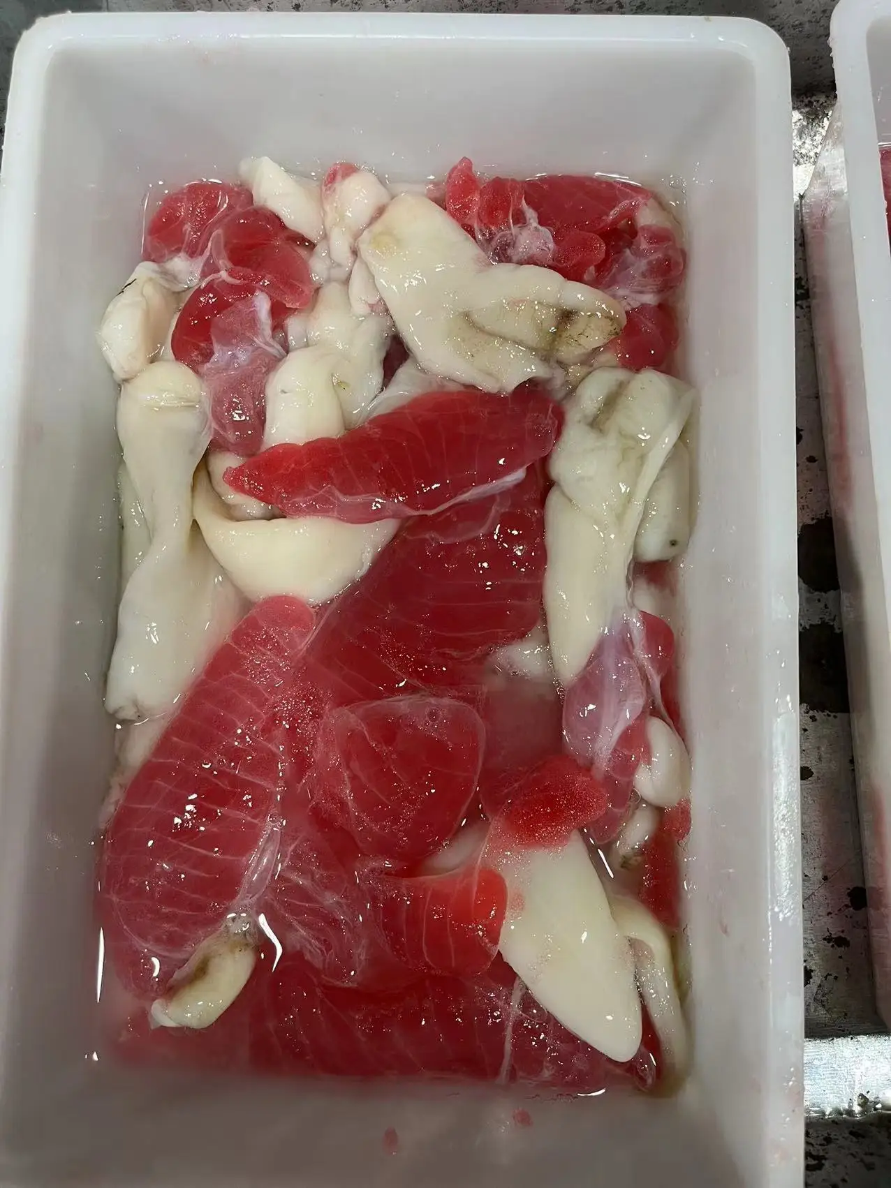 frozen Indian squid roe & squid egg & squid meat