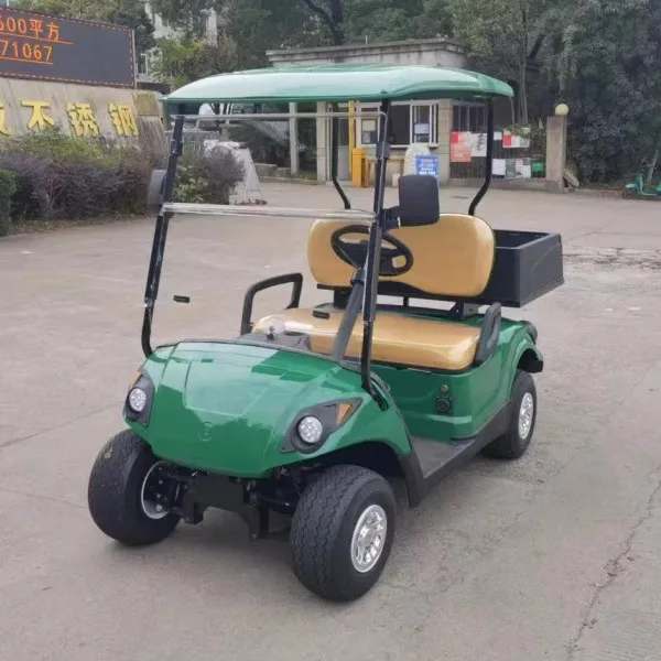 4 wheel 2 seats mini ezgo gasoline golf cart made in China