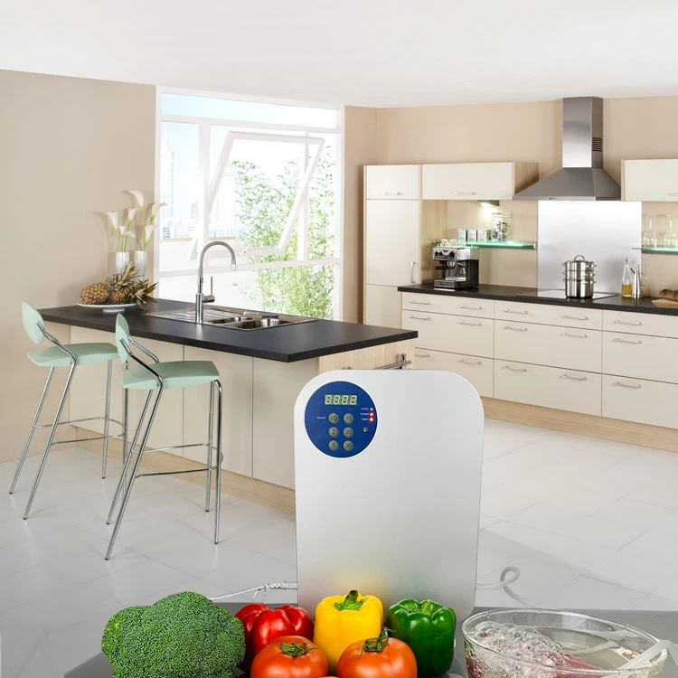 Ozone Generator For Water Sterilizer 220V Exclusive Model