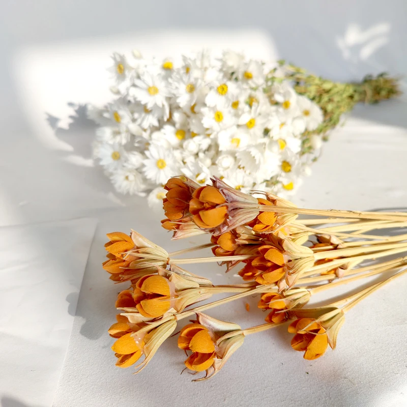 Dried Pistachio Price Flower Artificial Handcraft Flower Artificial Nuts Hand-made Pistachios Flower for Home Wedding Decoration