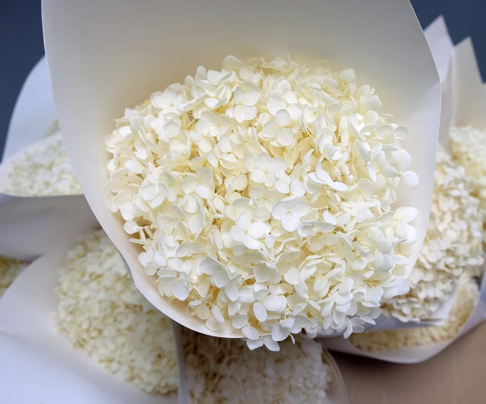 High Quality Big Single Stem Preserved Hydrangea Flowers Natural Hydrangeas for Home Wedding Decoration