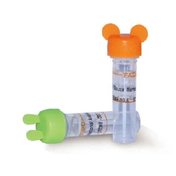 BE3271-100 Histone H2A.Z (ацетил