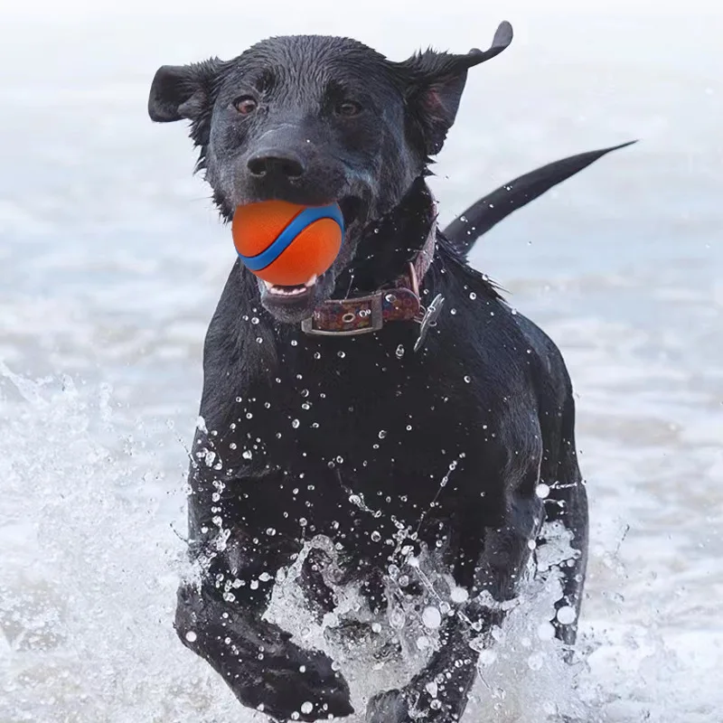 Wholesale 2024 Solid Elastic Plush Pet Jumping Dog Toy Ball Sustainable Puppy Toy elastic Jumping Dog Ball