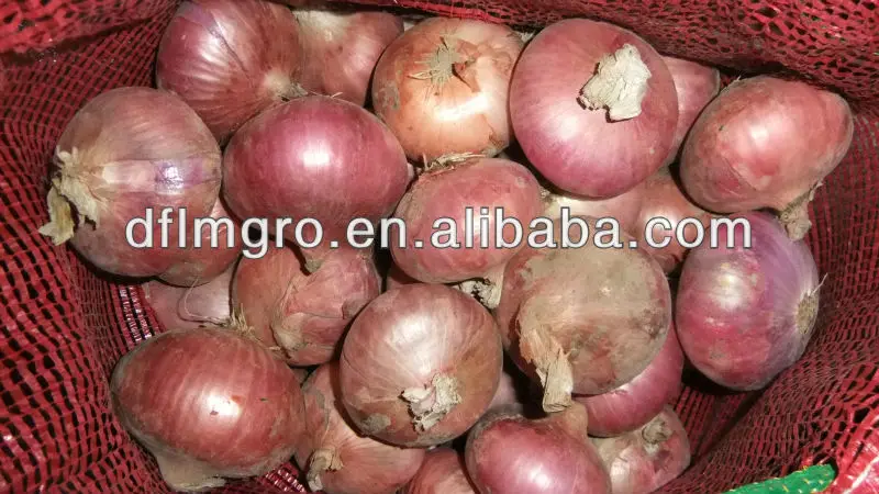 Red Onion Style GLOBAL GAP Weight Origin Type Shape Product Fresh Place Model HACCP Round Maturity Cultivation Common Peeled