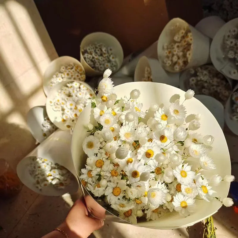 Yunnan Wholesale Dried Flowers Bouquet Pink White Rhodanthe Chrysanthemums Ludanniao Daisy Flower Dried Rhodanthe