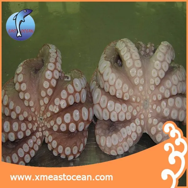 Eastocean bulk sale frozen big size frozen octopus for sale