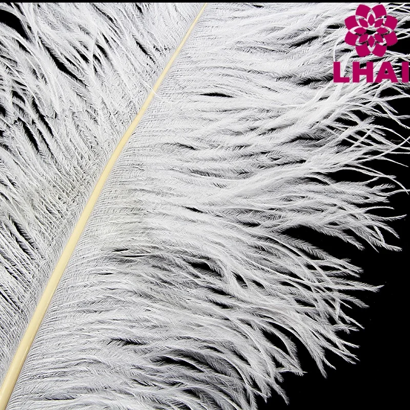 65-70cm Feather carnival Ostrich feathers white large feather plumas for wedding centerpiece headdress party costumes dance