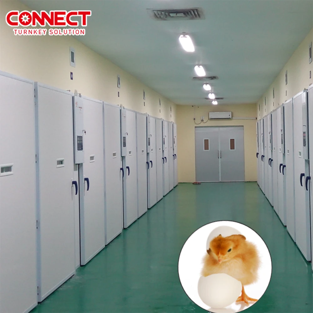 Hatching 20000 30000 50000 Eggs Automatic Electric Temperature Controller Chicken Machine Poultry Farm Egg Incubator  System