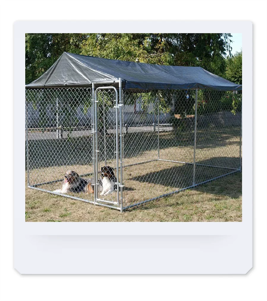 Outdoor Galvanized Cyclone Wire Mesh Dog Kennels 6ft Friendly Cage House Playpen
