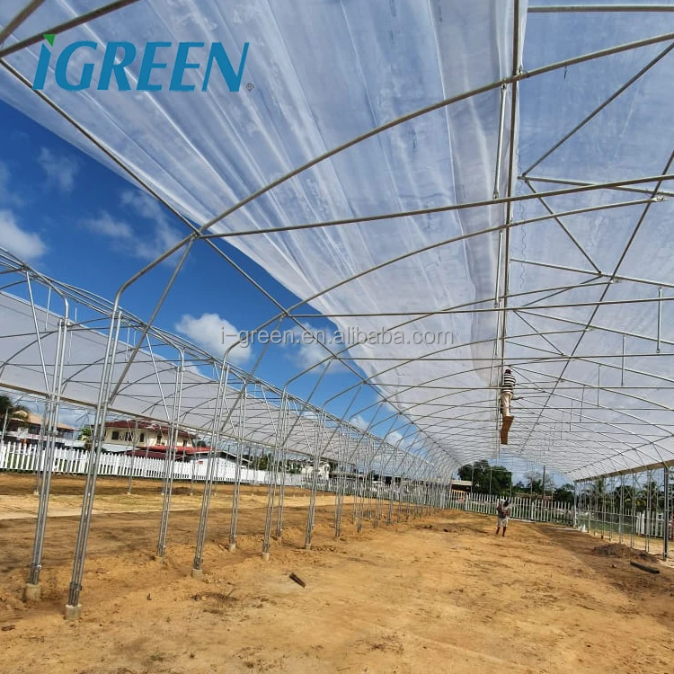 Agricultural vegetable multi-span greenhouses from China