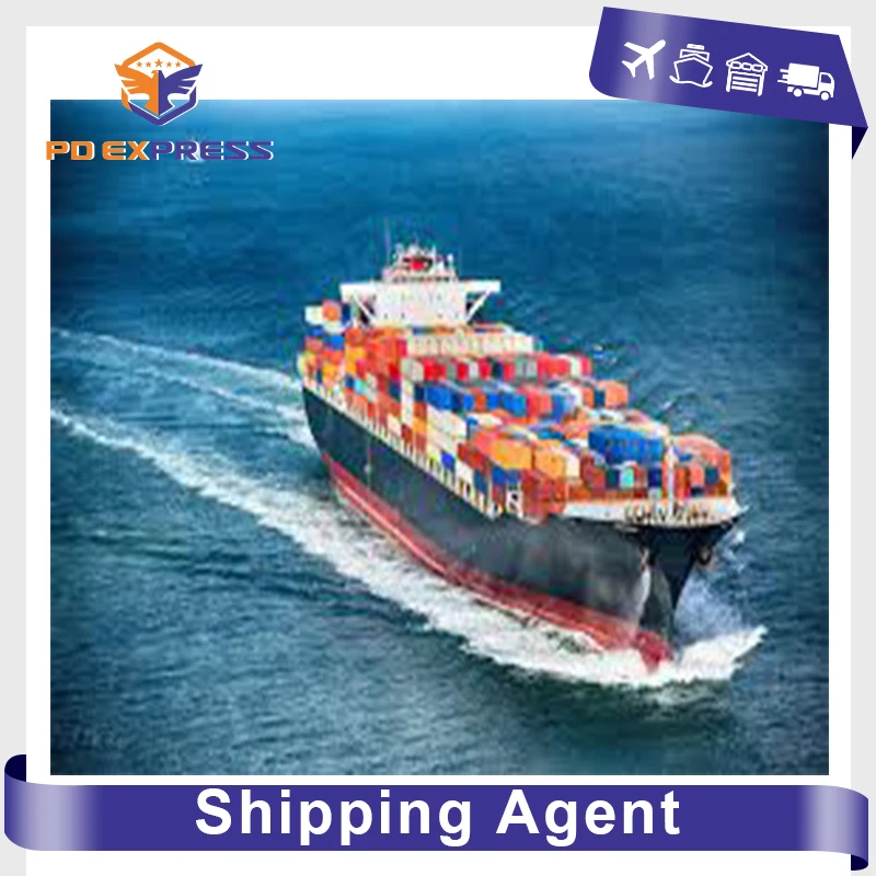 Stable shipping service sea freight shipment sea shipping service sea cargo ship China shipping to USA Amazon warehouse service
