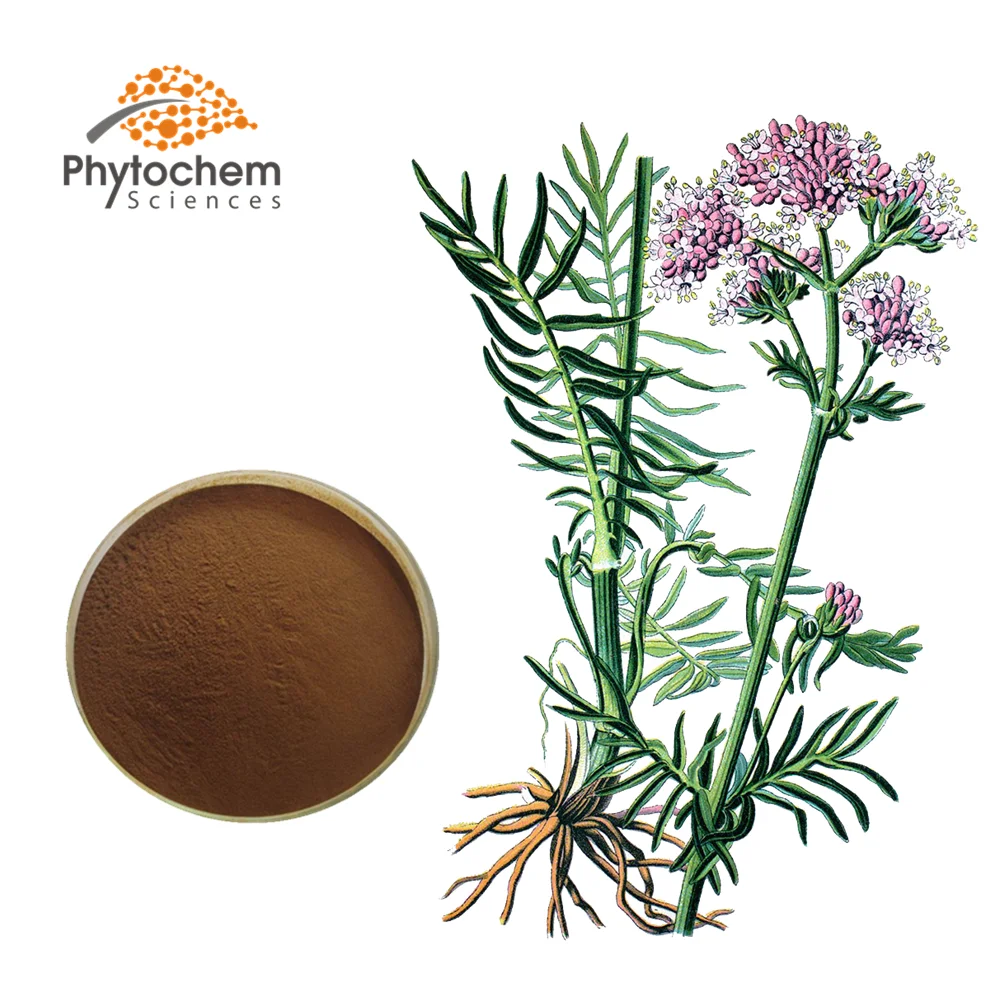 Hotsale sleeping valeriana powder organic valerian extract 0.8% valeric acid sleep improvement Valerian root extract powder