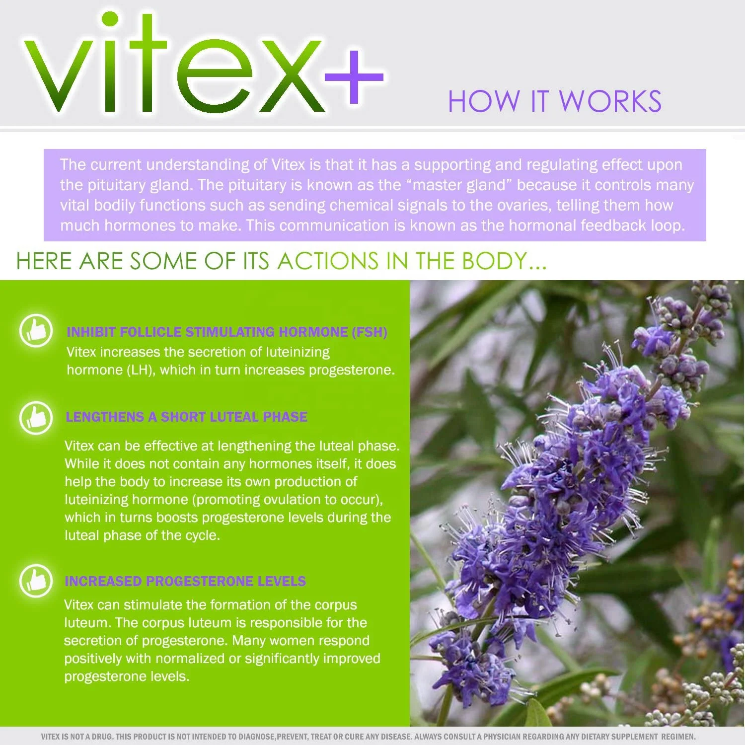 Добавка Vitex + Chasteberry для женщин способствует кормовому балансу регулирует Ваш