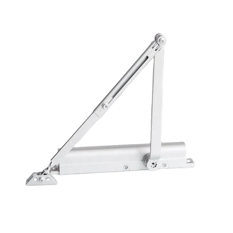 Chinese Door Closer New Product Top Quality Fire Proof Concealed Door Closer door closing professional furniture hardware