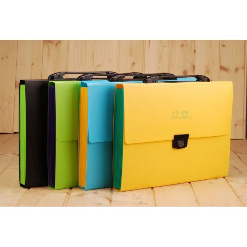 
Plastic Buckle For A4 Size Document Organizer Expanding File Folder 