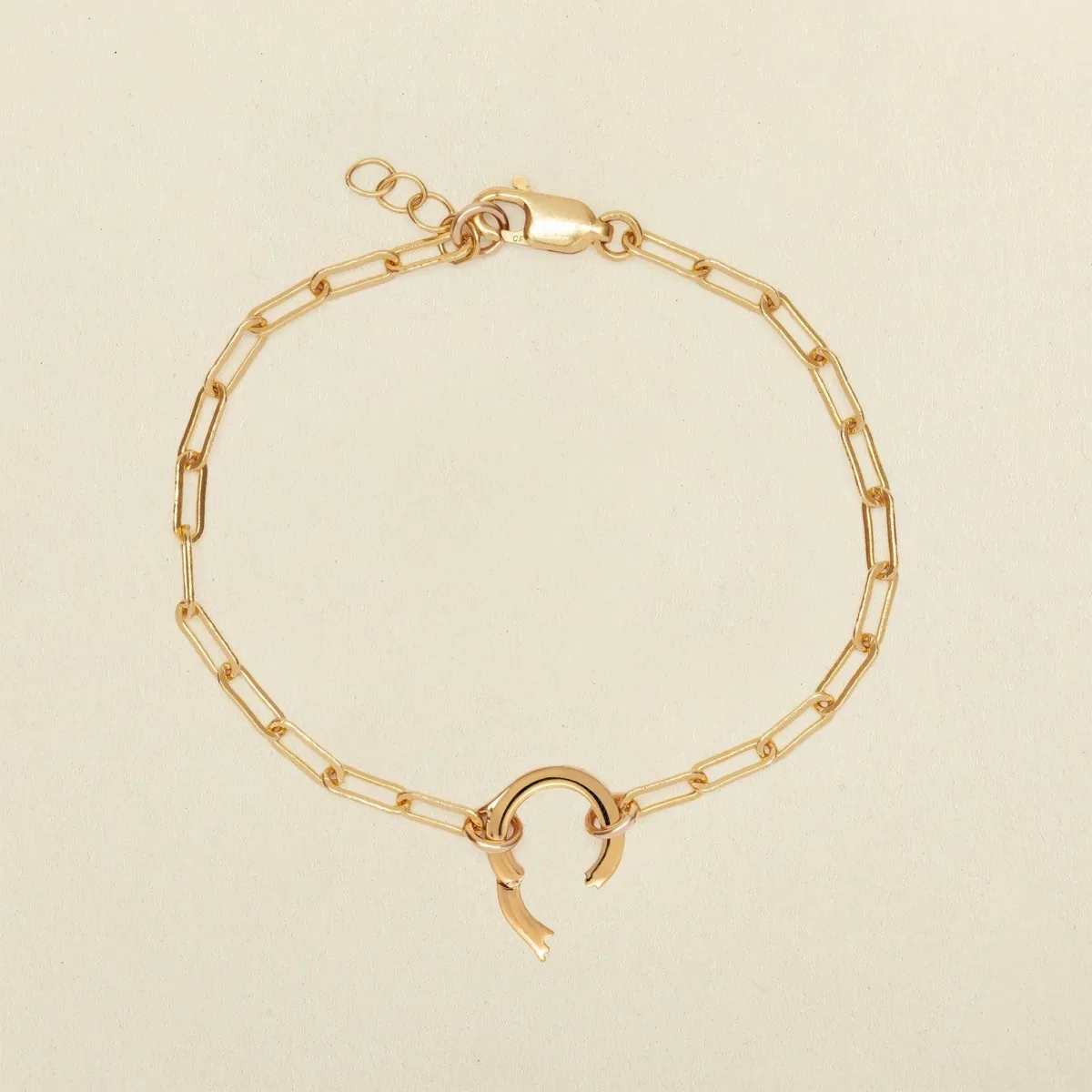 Interchangeable Stainless Steel Round Clasp Rolo Paperclip Chain Bracelet For Charms