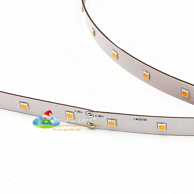 Lm281b+ samsung Lm561c 24v 120 Led Strip Without Resistor Top Quality by Mufue