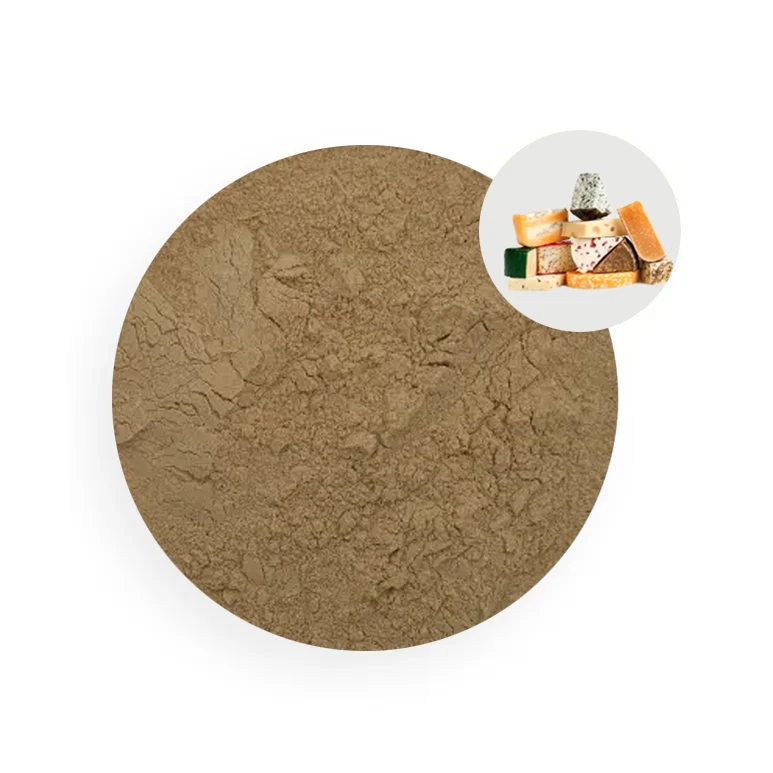 Food Grade Microbial Rennet Casein Powder for Cheese , 15,000 IMCU/g Chymosin Enzyme Powder for Dairy Curdling