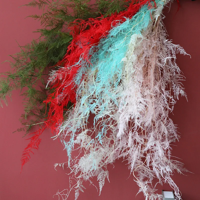 Wedding Decorative Dried Flower & Plants Preserved Asparagussetaceus Natural Asparagus Fern Dried Flowers Asparagus Setaceus