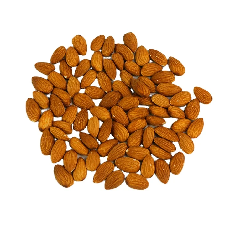 Crispy Almond Nuts NP23-25 bulk price Raw almond nuts origin from American