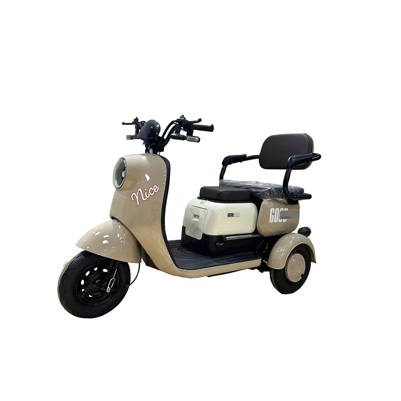 Electric Trike 500W 3-Wheel Triciclo Tricycle 60v 3-Speed Cargo Adult Bike with Fat Tires for Commuting