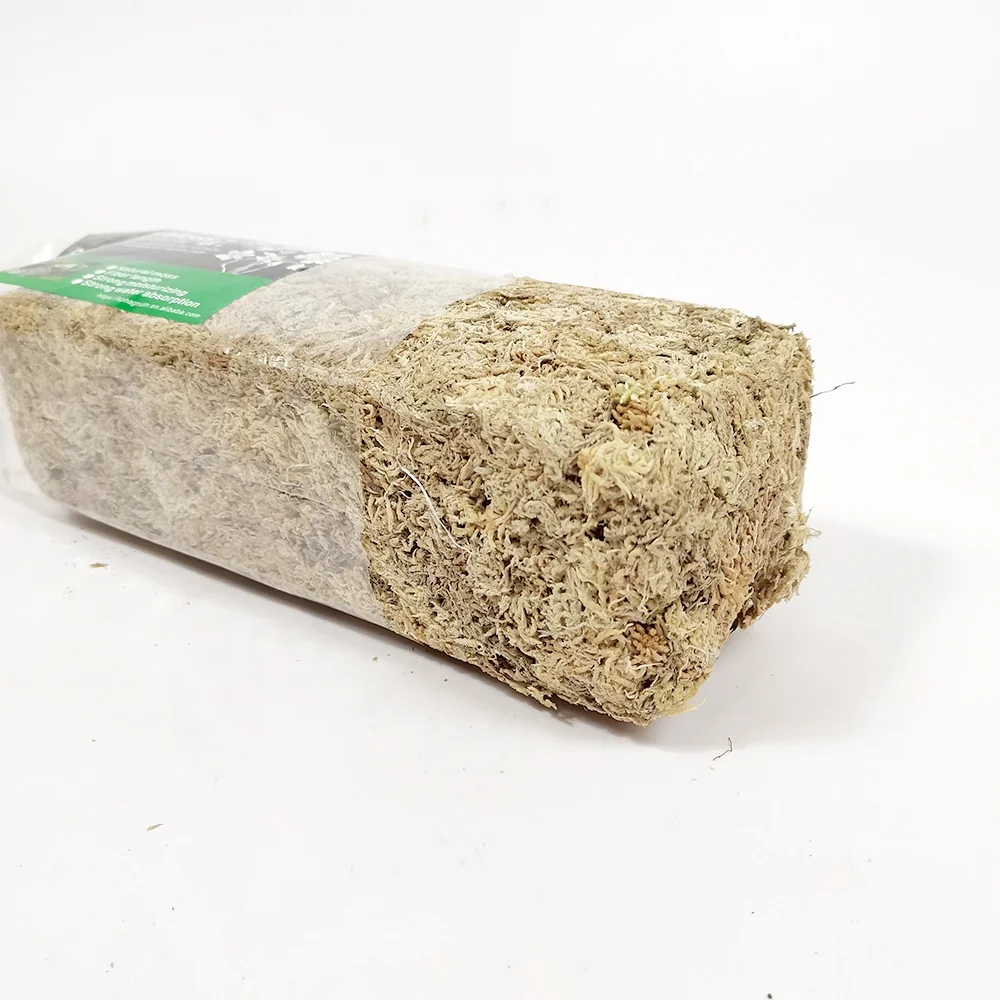150G Long Fibered Sphagnum Moss For Potting Sarracenia Pitcher Plants Carnivorous Plants