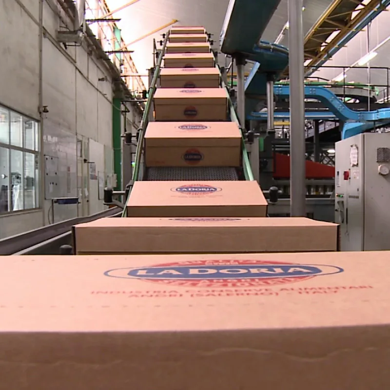 Best Quality Italian Bolognese Pasta tomato sauce in jar customizable with your brand 12x350g For Export