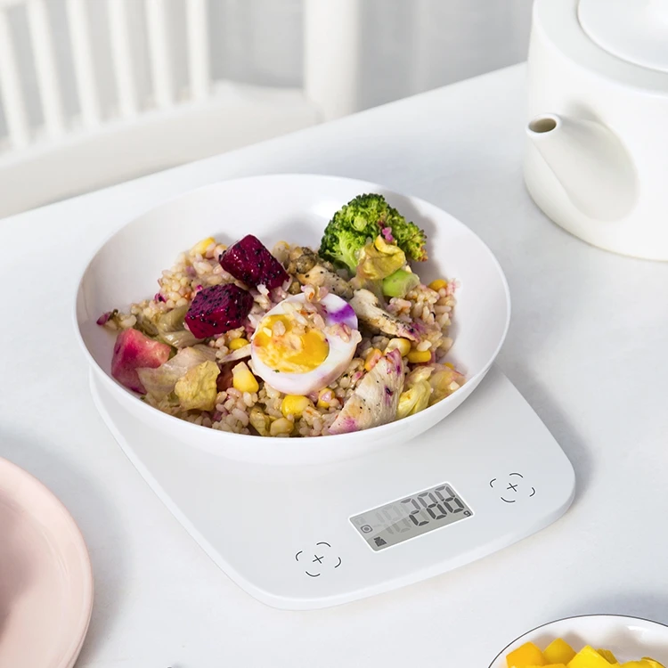 Camry New Design Baking Supplies Household Lcd Display Digital Food Scale with Bowl Food Processing Machines Kitchen Scales
