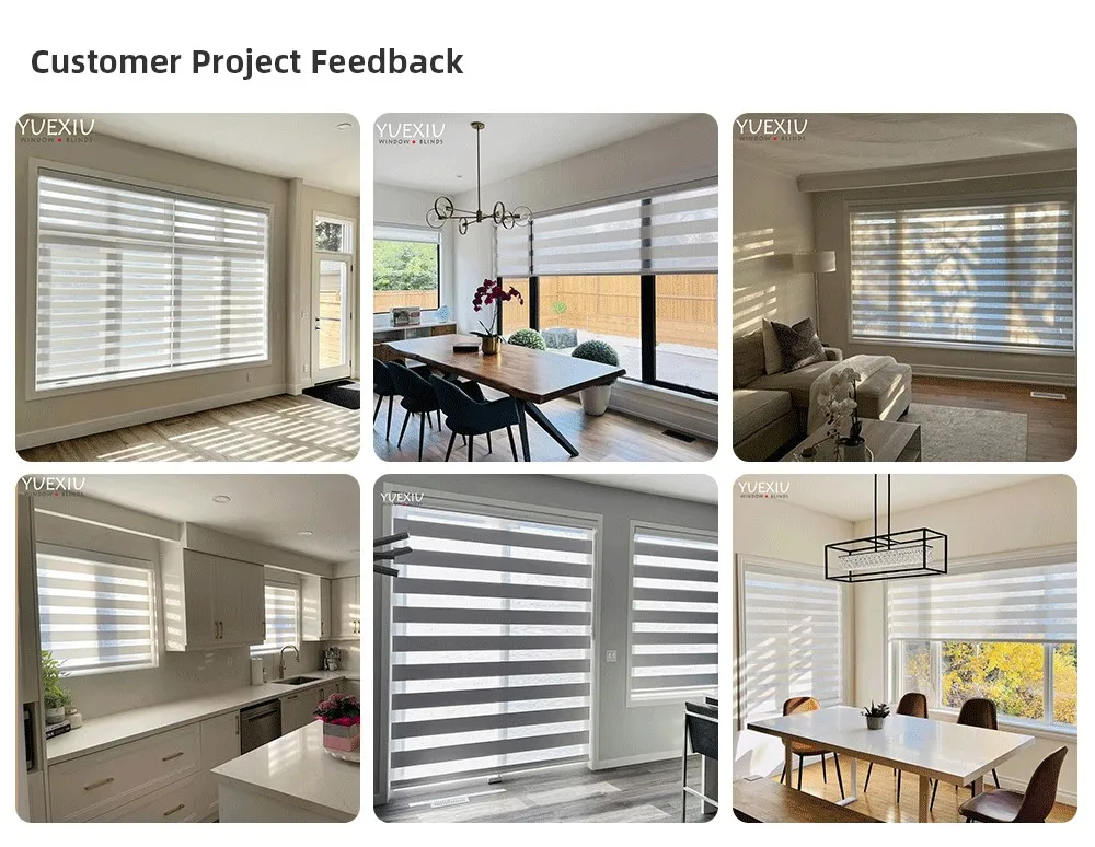 Blackout Smart Home Decor Window Shades Fabric Double Strip Horizontal Alexa Electric Curtain Motorized Zebra Roller Blinds