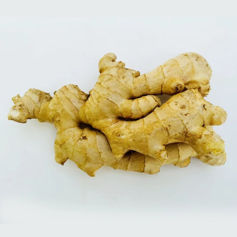 Competitive Price Nuisanceless Fresh Ginger Root Wholesale At Competitive Market Prices