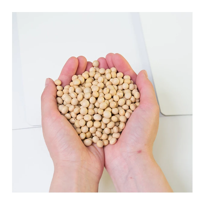 Сушеная Соя с высоким содержанием белка для похудения