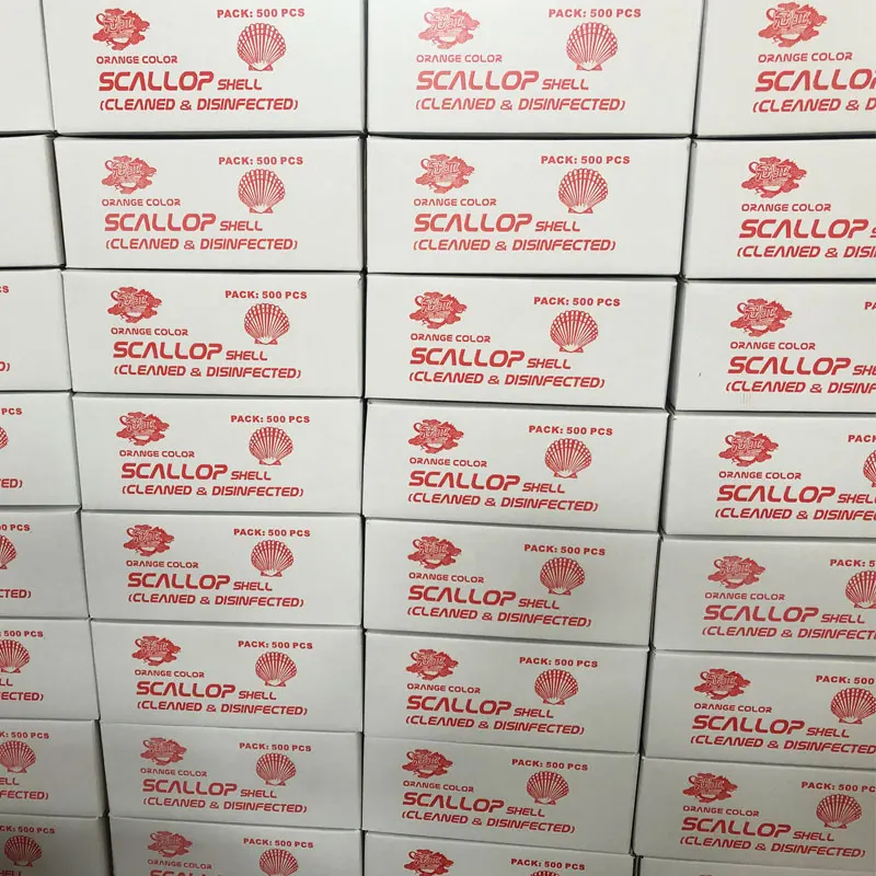 
Beautiful Varies Natural Raw Scallop Shells For Decoration Crafts 